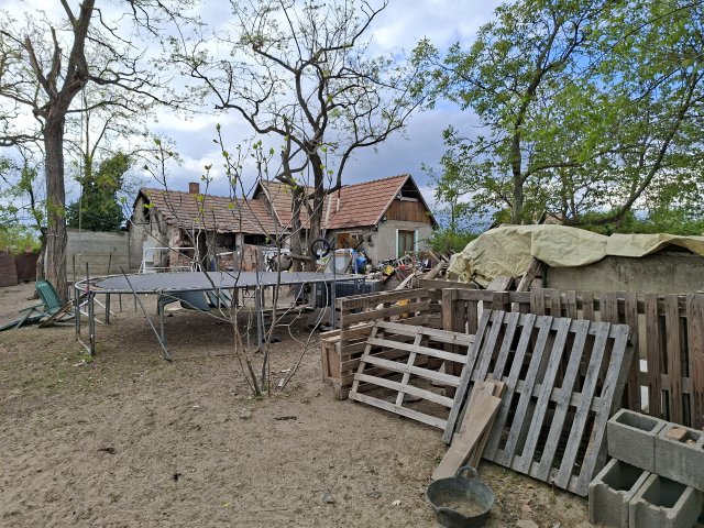 Eladó családi ház, Délegyházán 65 M Ft, 1 szobás