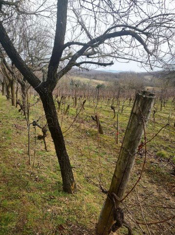 Eladó nyaraló, Zalaszentlászlón 45 M Ft, 1 szobás