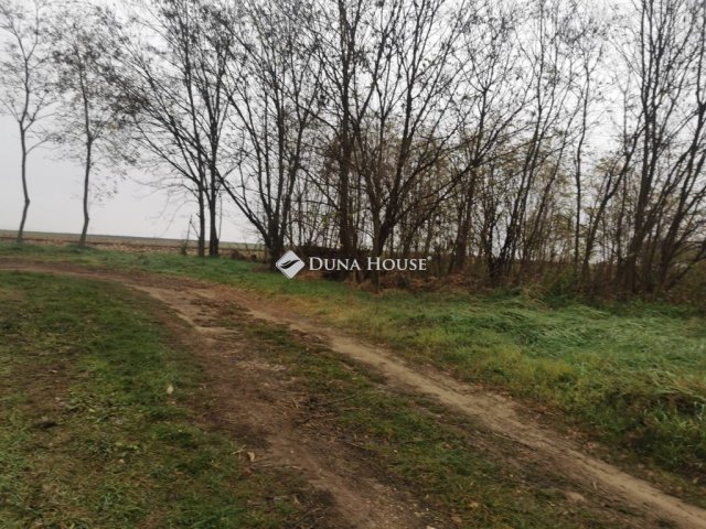 Eladó telek, Kocson, Táncsics Mihály utcában 9.5 M Ft