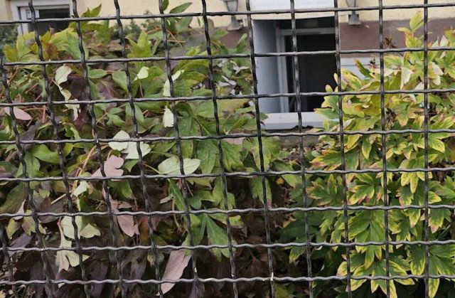 Eladó üzlethelyiség, Győrött 64.9 M Ft / költözzbe.hu