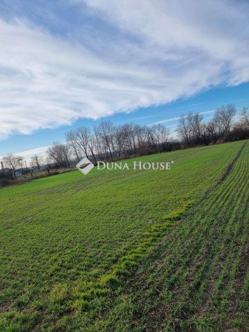 Eladó telek, Ráckevén 10 M Ft / költözzbe.hu