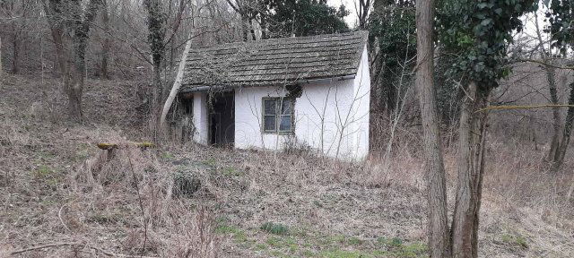 Eladó mezogazdasagi ingatlan, Zalacsányon 3.6 M Ft