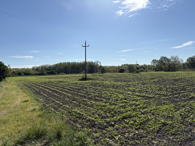 Eladó telek, Győrszemerén 110 M Ft / költözzbe.hu