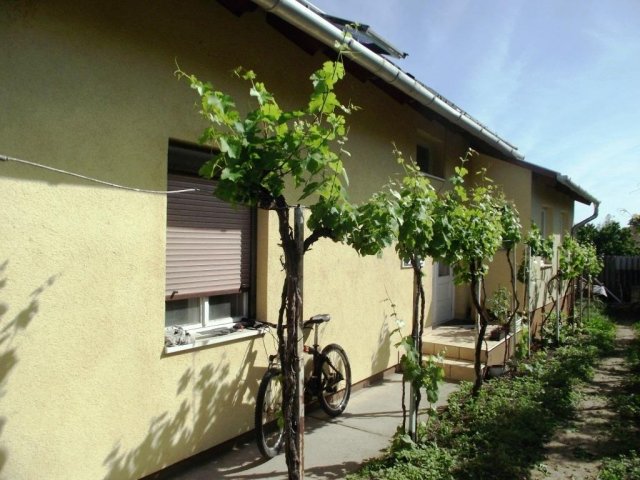 Eladó családi ház, Székesfehérvárott 77.9 M Ft, 4 szobás