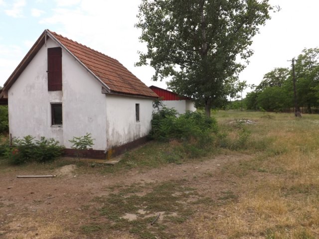 Eladó mezogazdasagi ingatlan, Lajosmizsén 45 M Ft