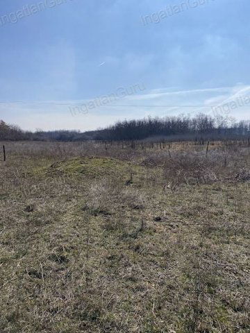 Eladó mezogazdasagi ingatlan, Lajosmizsén 99 M Ft