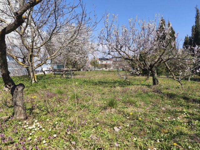 Eladó telek, Vonyarcvashegyen 46 M Ft / költözzbe.hu