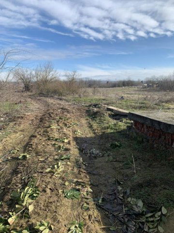 Eladó telek, Pilisen 5.5 M Ft / költözzbe.hu