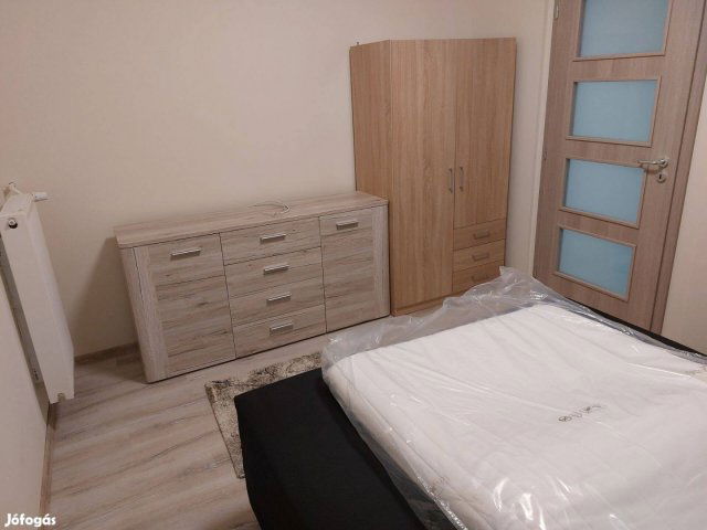 Kiadó panellakás, albérlet, Pécsett, Építők útján, 2 szobás