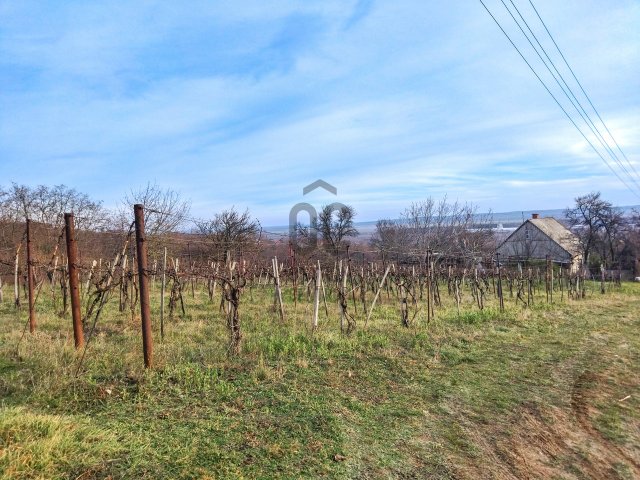 Eladó telek, Várpalotán 15.9 M Ft, 2 szobás