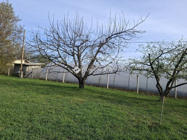 Eladó családi ház, Szentesen 42 M Ft, 1 szobás