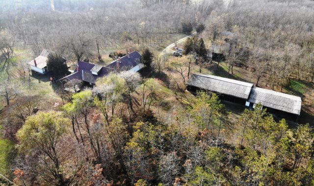 Eladó mezogazdasagi ingatlan, Kunszentmiklóson 169.9 M Ft