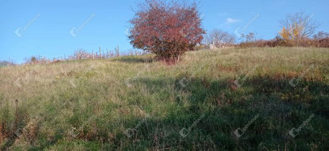 Eladó telek, Zalaegerszegen 0.85 M Ft / költözzbe.hu