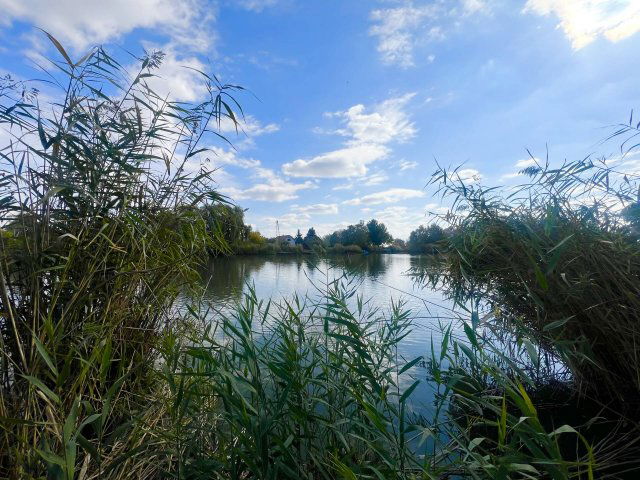 Eladó telek, Szarvason 29 M Ft / költözzbe.hu