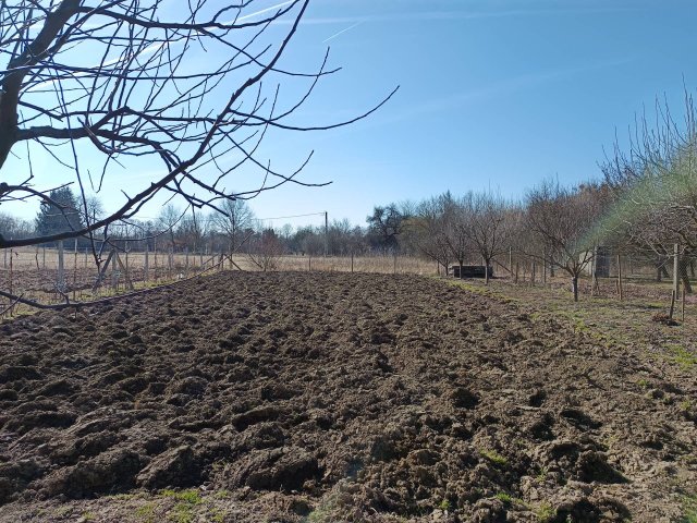 Eladó mezogazdasagi ingatlan, Sárospatakon 5 M Ft