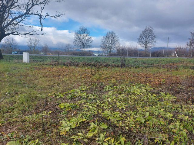 Eladó telek, Szentendrén 270 M Ft / költözzbe.hu