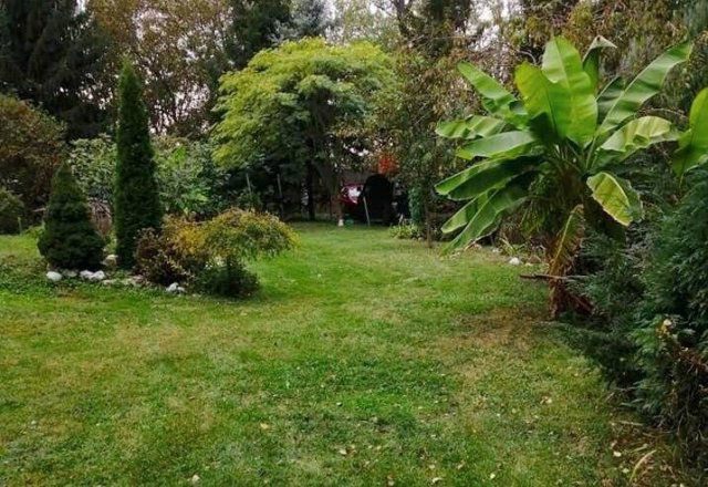 Eladó mezogazdasagi ingatlan, Békéscsabán 33 M Ft, 4 szobás