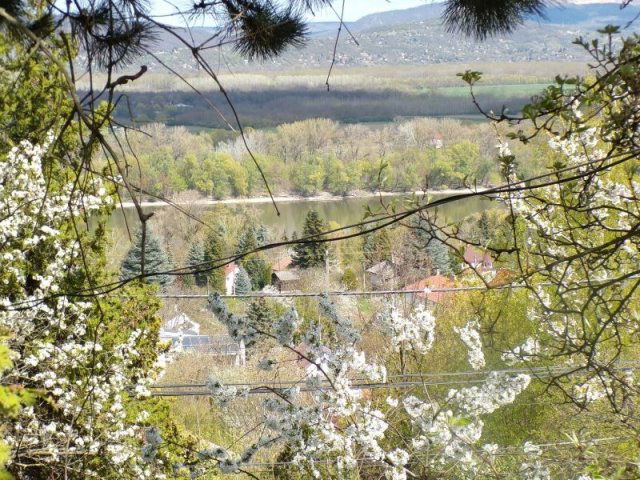 Eladó nyaraló, Dunabogdányban 22.9 M Ft, 1 szobás