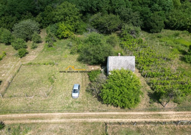 Eladó mezogazdasagi ingatlan, Kaposszerdahelyen 7.9 M Ft