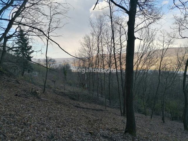 Eladó telek, Nagymaroson 29 M Ft / költözzbe.hu