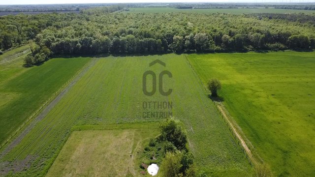 Eladó mezogazdasagi ingatlan, Mosonmagyaróváron 65 M Ft