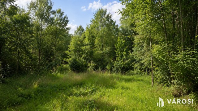Eladó mezogazdasagi ingatlan, Debrecenben 2.5 M Ft