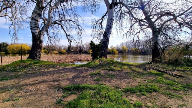 Eladó telek, Szigetcsépen 39.99 M Ft / költözzbe.hu