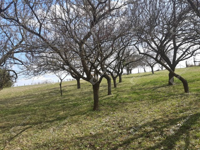 Eladó telek, Sandon 7.6 M Ft / költözzbe.hu