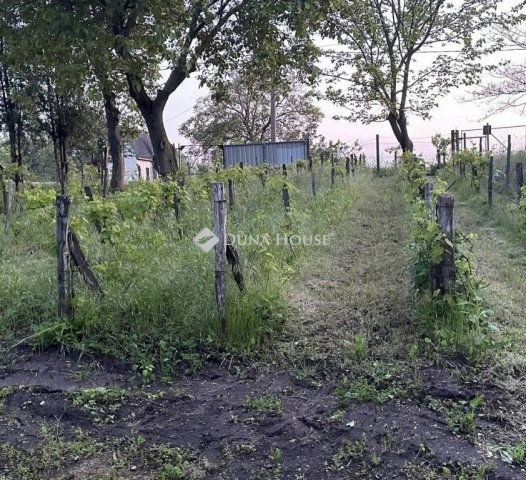 Eladó telek, Mezőfalván, Diófa soron 4.5 M Ft
