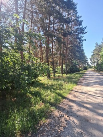 Eladó telek, Inárcson 55 M Ft / költözzbe.hu