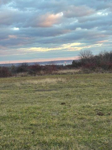 Eladó mezogazdasagi ingatlan, Balatonkenesén 24.9 M Ft