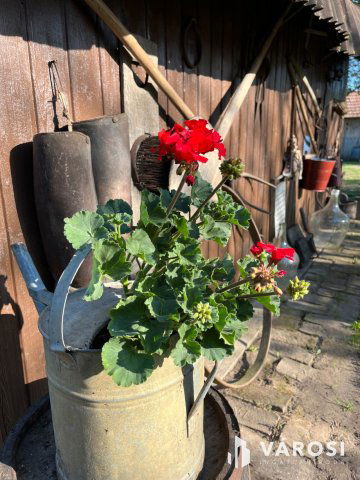 Eladó családi ház, Debrecenben 49.9 M Ft, 3 szobás