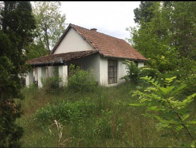 Eladó mezogazdasagi ingatlan, Sükösdön 19.5 M Ft