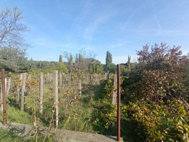 Eladó mezogazdasagi ingatlan, Monoron 5.6 M Ft