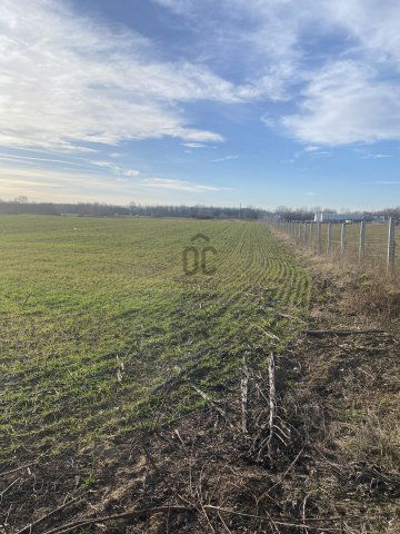 Eladó telek, Tégláson 37.5 M Ft / költözzbe.hu