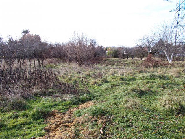 Eladó telek, Ajkán 55 M Ft / költözzbe.hu