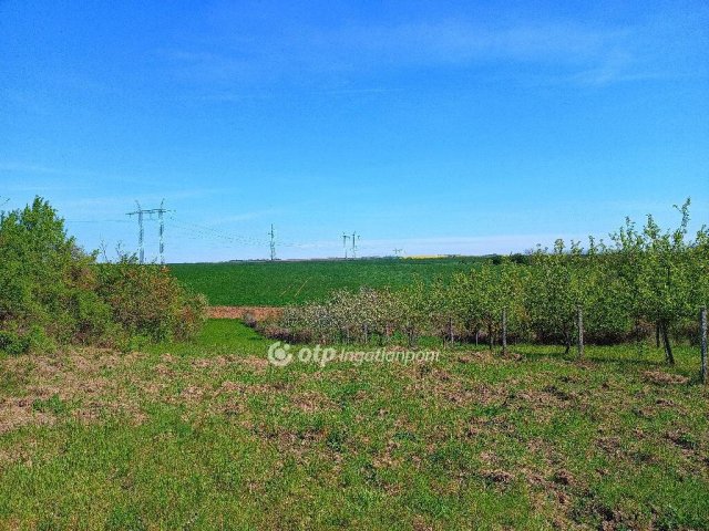 Eladó telek, Aszódon 41 M Ft / költözzbe.hu