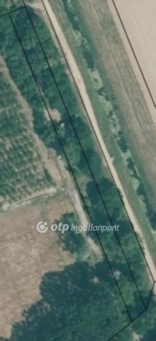 Eladó telek, Tiszaszőlősön 5.5 M Ft / költözzbe.hu