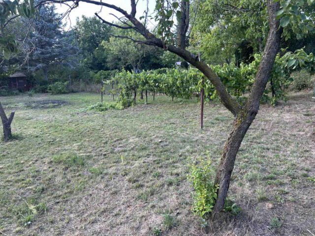 Eladó mezogazdasagi ingatlan, Környén 6.99 M Ft