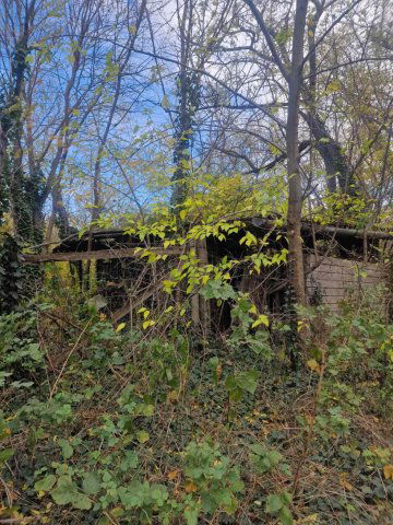 Eladó mezogazdasagi ingatlan, Pázmándfalun 7 M Ft