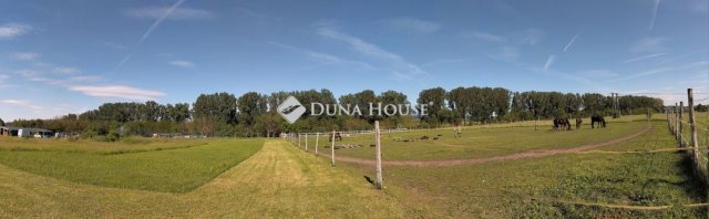 Eladó telek, Dorogon 224 M Ft / költözzbe.hu