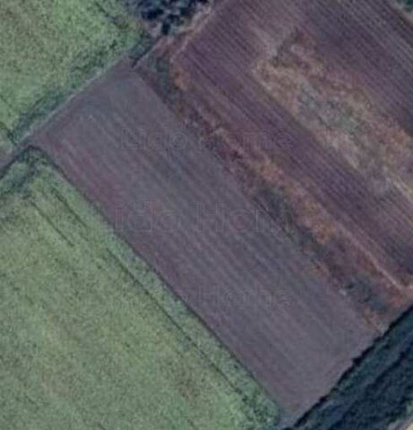 Eladó mezogazdasagi ingatlan, Balatonvilágoson 3.9 M Ft