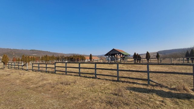 Eladó mezogazdasagi ingatlan, Dorogházán 85 M Ft