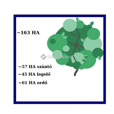 Eladó mezogazdasagi ingatlan, Somogyváron 390 M Ft
