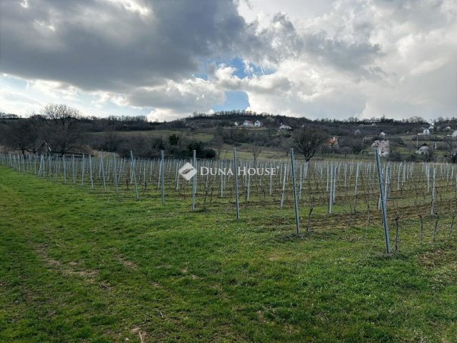 Eladó telek, Pécselyen 62 M Ft / költözzbe.hu