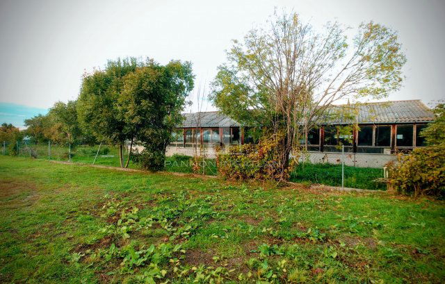 Eladó üzlethelyiség, Sárszentmihályon 44.9 M Ft