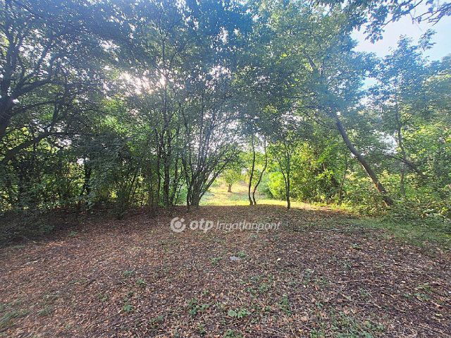 Eladó mezogazdasagi ingatlan, Békésszentandráson 9.3 M Ft