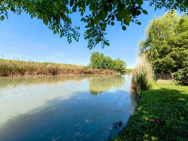 Eladó telek, Mezőberényben 6.99 M Ft / költözzbe.hu