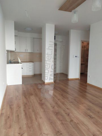 Kiadó téglalakás, albérlet, IX. kerületben, Lenhossék utcában