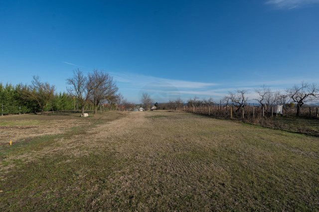 Eladó telek, Naszályon 9 M Ft / költözzbe.hu